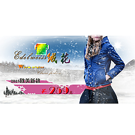 雪絨花設(shè)計(jì)背景圖片高清psd下載