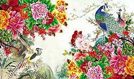 花開富貴圖片