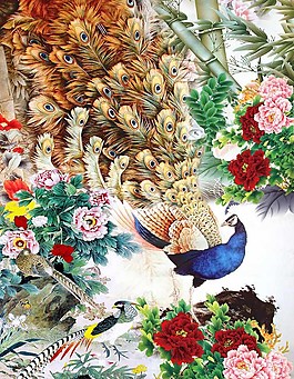 牡丹孔雀圖片