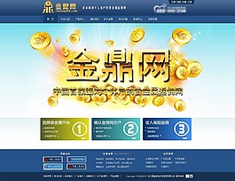网站设计金鼎网
