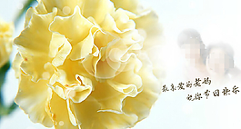 祝福母亲QQ空间flash