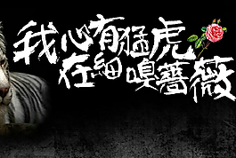 我心有猛虎QQ空間flash