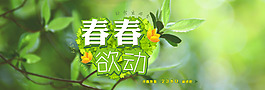 四海暢游旅行社淘寶天貓海報(bào)圖