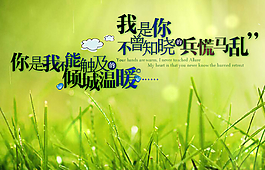 傾城溫暖QQ空間flash