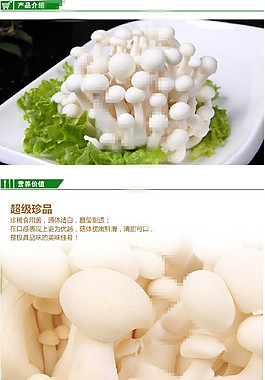 白玉菇農產品詳情頁