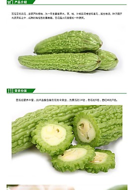 苦瓜农产品详情页