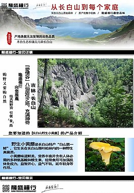 淘寶小黃菇農(nóng)產(chǎn)品描述