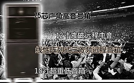 舞臺專用