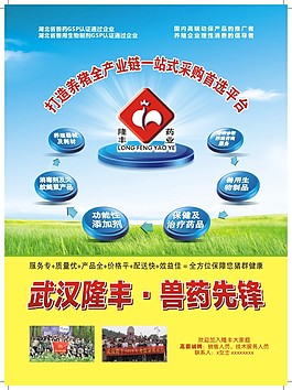 宣傳單
