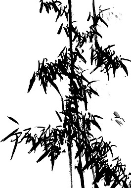 水墨畫竹素材