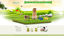 寵物網(wǎng)站設(shè)計(jì)模板PSD文件下載