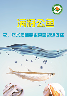博斯騰湖滿籽公魚易拉寶