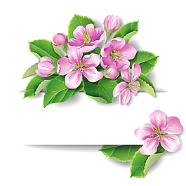 精美粉色花朵裝飾