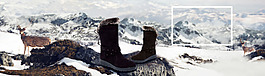 女鞋banner