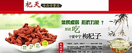 枸杞淘寶裝修海報(bào)圖片