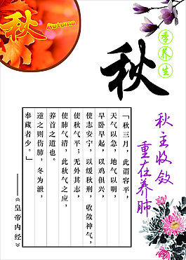 秋主收敛展板