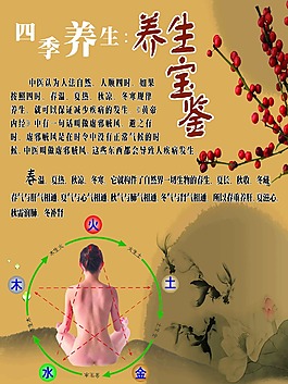 养生宝鉴