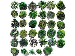 植物園林psd