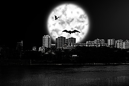 夜景高清圖
