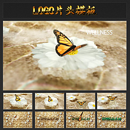 创意蝴蝶飞舞LOGO片头模板图片