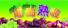 葡萄熟啦
