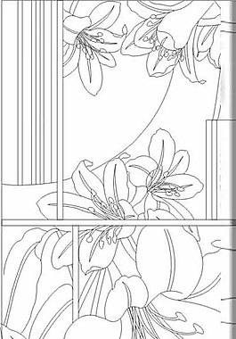 百合花圖片