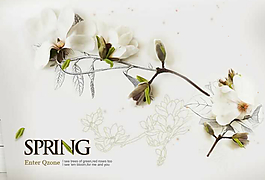 SpringQQ空間flash
