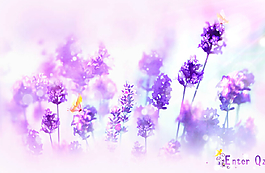 花田QQ空間flash