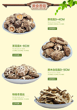 淘寶香菇熱賣推薦