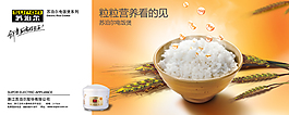 粒粒营养看的见电饭煲