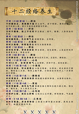 養生版面