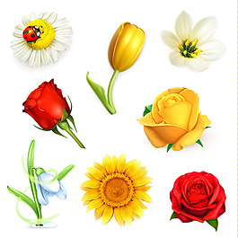 玫瑰花圖案矢量素材