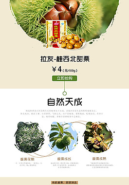 桂西北板栗版式设计