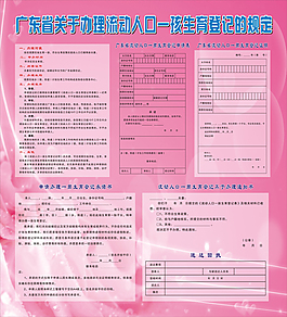 廣東省關于辦理流動人口一孩生育登記的規定