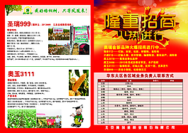 奧瑞金