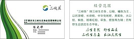 绿色花纹名片