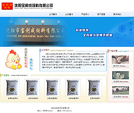 企業(yè)網(wǎng)站