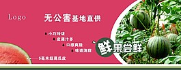 西瓜宣传海报