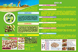 鷹嘴豆宣傳單