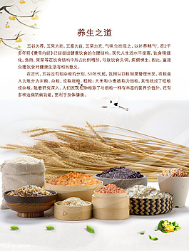 五谷養(yǎng)生海報(bào)