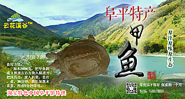 甲魚廣告圖