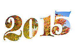 2015