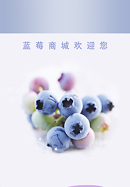 APP蓝莓启动画面