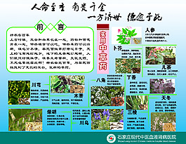 中藥材醫(yī)院展板