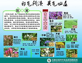 中藥材醫(yī)院展板