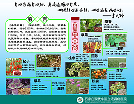 中藥材醫(yī)院展板