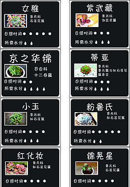 多肉植物圖譜