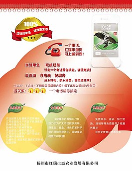 農(nóng)產(chǎn)品宣傳單頁DM圖片