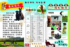 宠物促销海报