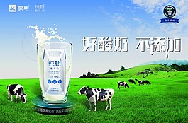 蒙牛純甄酸奶好酸奶小時候的味道
